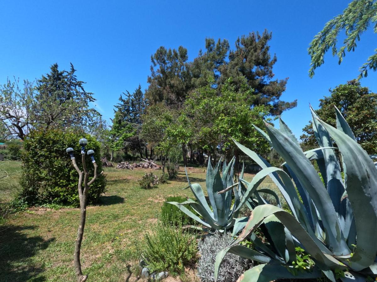Pond And Pines, By Nice House By The Sea! Эпаноми Экстерьер фото